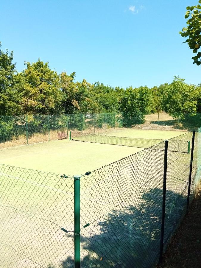 Castle House Rooms, Swimming Pool & Sauna & Tennis Court & Wine Cellar Sežana エクステリア 写真